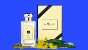 perfumes similar to jo malone mimosa and cardamom